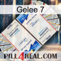 Jelly 7 kamagra1